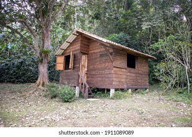 Wooden Shack In The Forest