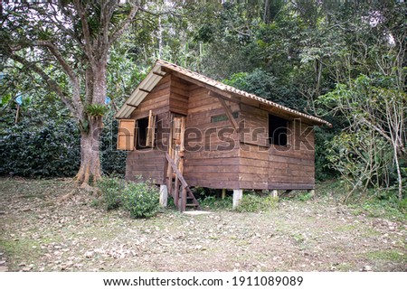 wooden shack in the forest