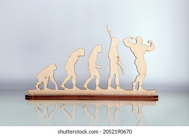 A wooden shape of hominid evolution to bodybuilder. Concept - Shutterstock ID 2052190670