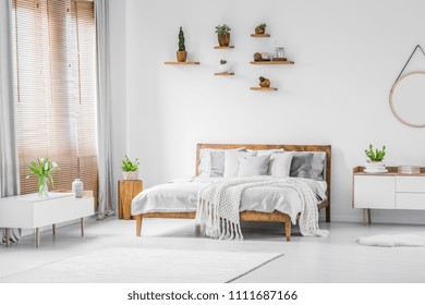 Wooden shelves with plants above a comfortable double bed in a spacious apartment interior with white furniture and walls