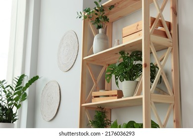 Wooden Shelving Unit With Beautiful House Plants Indoors, Low Angle View. Home Design Idea