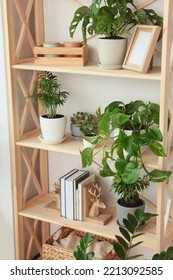 Wooden shelving unit with beautiful house plants indoors. Home design idea - Shutterstock ID 2213092585