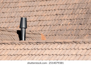 wooden shingle roof and chimney in Chubut - Powered by Shutterstock