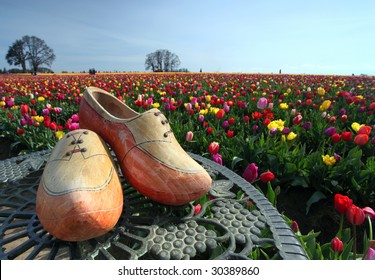 Wooden shoes and colorful outdoor tulip flower garden