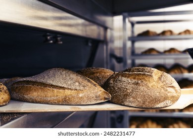 wooden shovel with freshly baked bread from oven. Resolution and high quality beautiful photo - Powered by Shutterstock