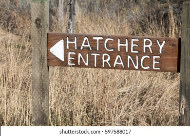 Wooden Sign For A Fish Hatchery Entrance