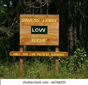Wooden sign in the forest stating stress level low today, only you can prevent burnout
