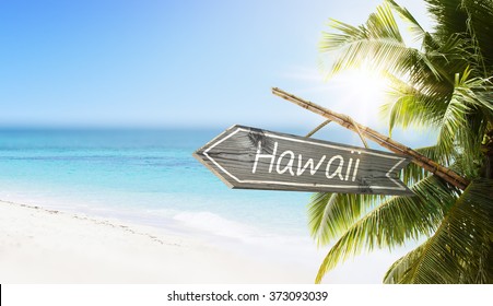 Wooden Sign Hawaii On Tropical White Sand Beach Summer Background. Lush Tropical Foliage And Sunshine. Blue Ocean At Perfect Day. No People.