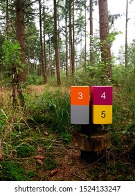 Wooden Sign Post Mile Marker On A Hiking Jogging Trail In A Forest Nature