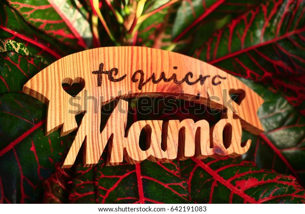 Wooden Sign Spanish Translation Love You Stock Photo Edit Now