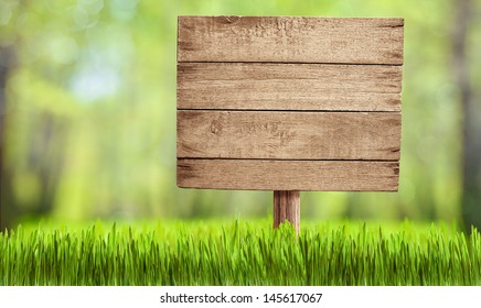 wooden sign in summer forest, park or garden