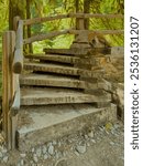 Wooden Slabs Form Spiral Staircase Up to Sturdy Bridge Over River in Olympic National Park