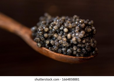 Wooden Spoon With Black Sturgeon Caviar, Macro