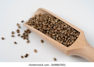 Wooden spoon with hemp seeds on white background. Cannabis Hemp seeds in wooden scoop isolated on white background