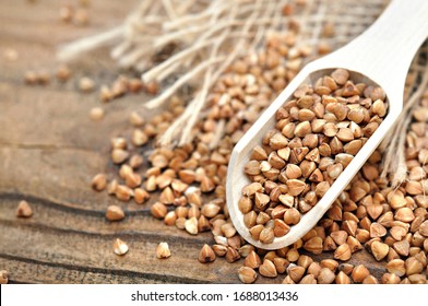 Wooden spoon of roasted buckwheat groat background, gluten free ancient grain for healthy diet, selective focus