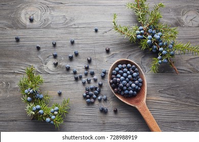 Wooden spoon with seeds of juniper. Juniper branch with berries. 
