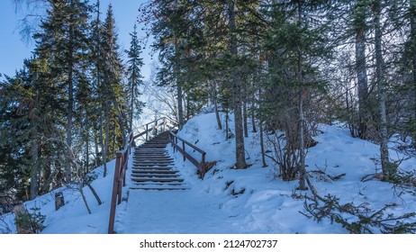 A wooden staircase climbs up the snow-covered slope of the hill, skirting it. Snow drifts all around. Tall coniferous trees against the blue sky. Altai. Manzherok