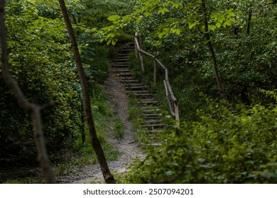 wooden stairs foot path walking way in woods August summer time environment space with green foliage and nobody here - Powered by Shutterstock