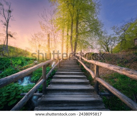 Wooden stairs in forest at sunset in spring. Plitvice Lakes, Croatia. Colorful landscape with path in blooming park, steps, green trees, water lilies, river, sky in summer. Trail in woods. Nature