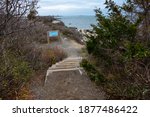 The wooden stairs go down to the beach trail, green and leafless bushes on both sides of it, the ocean water and gloomy skies meet on the horizon line.  