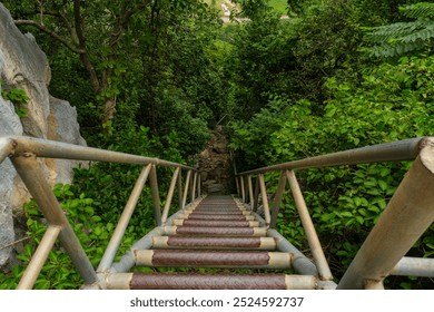 Wooden stairs leading into lush greenery - Powered by Shutterstock