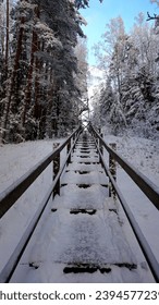 wooden stairs leading to the tower in the forest in winter