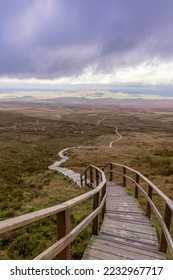 Wooden stairs on a trail through beautiful countryside up a mountain. Cuilcagh Boardwalk Trail in Fermanagh Northern Ireland. Stairway To Heaven