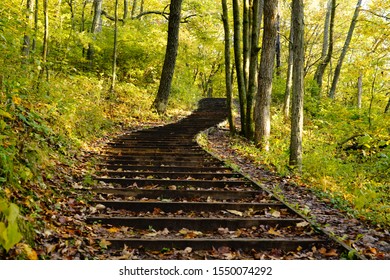 Wooden Stairway to beauty. Climbing stairway at Parnell Tower Nature walk during the Autumn Fall Season 