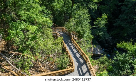  Wooden stairway leading through lush, green forest at Catawba Falls, offering scenic views of nature and surrounding foliage. - Powered by Shutterstock