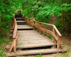 Wooden Stairway To Mountains Forest, Nature Trail In Reserve