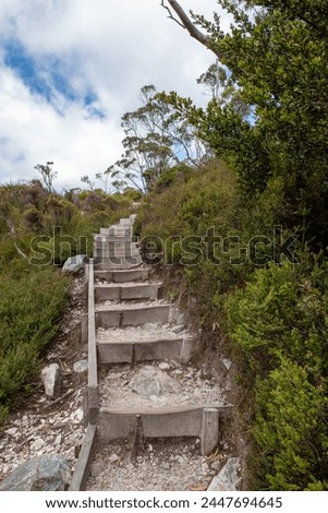 Wooden stairway up mountainside with bushes on either side, Cradle Mountain in Tasmania on overcast day