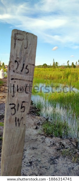 wooden stakes, land\
divider in the field complete with the number of measurements\
written on the wood.