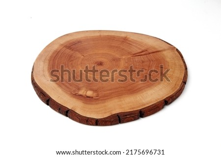 Wooden stand for a dish isolated on a white background. Tree trunk cut for product presentation demonstration. Front view isolated on white background