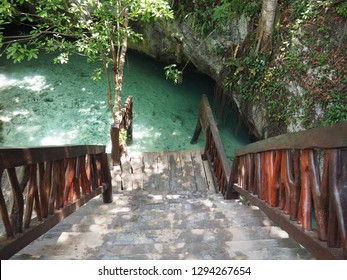 Wooden steps to gran cenote water with jungle trees in mexico tulum