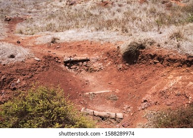 Wooden steps into an arid and desertic path with red clay (Madeira, Portugal, Europe) - Powered by Shutterstock