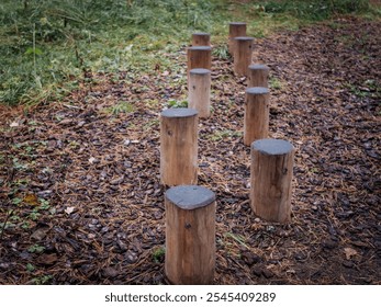 Wooden steps placed on a forest trail for outdoor exercise, surrounded by bark mulch, pine needles, and autumn foliage. - Powered by Shutterstock