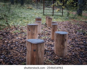 Wooden steps placed on a forest trail for outdoor exercise, surrounded by bark mulch, pine needles, and autumn foliage. - Powered by Shutterstock