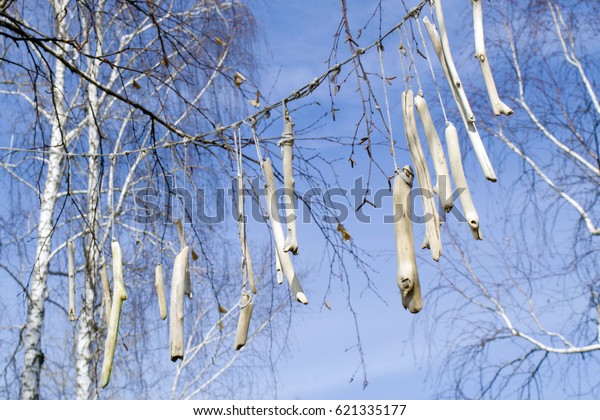 birch paper garland