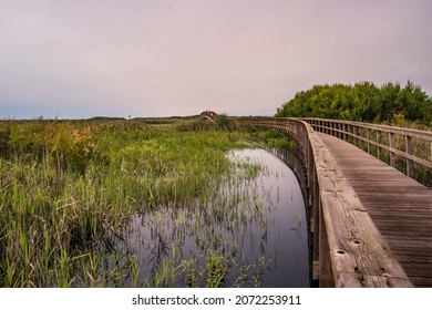Wooden structure on the footbridges of Barrinha de Esmoriz with water from the Paramos lagoon, PORTUGAL
