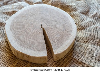 Wooden Stump, Cross Section, Cut Wood Tree Trunk Slice.