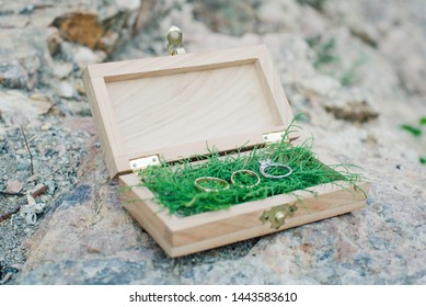 Wooden stylish box with green moss and wedding rings

