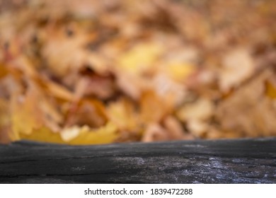 Theke Holz Stockfotos Bilder Und Fotografie Shutterstock