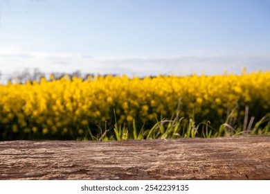 Wooden Surface with Yellow Flower Field in Background - Powered by Shutterstock