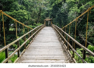 A wooden suspension bridge stretches across a lush, green jungle, leading to a distant, forested path. The bridge, supported by sturdy ropes, appears well-worn, suggesting it has guided many travelers - Powered by Shutterstock