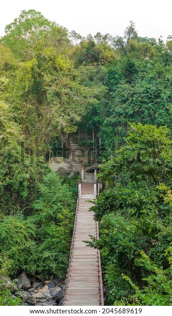 The wooden suspension bridge\
is a walkway in the middle of the forest. beautiful landscape\
wooden walkway tropical attractions travel on vacation, background\
natural