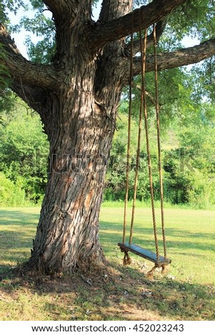 wooden swing on large maple tree