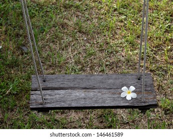 Wooden Swing On Rope In Backyard Garden With White Plumeria