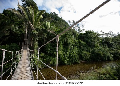 Wooden Swing Rope Bridge Over River In The Belize Rainforest