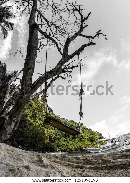 Wooden Swing Under Tree On Beach Stock Photo Edit Now