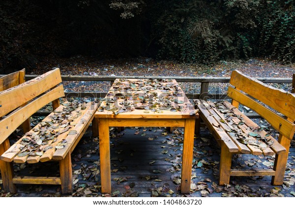 Wooden Table Benches Autumn Park Under Stock Photo Edit Now